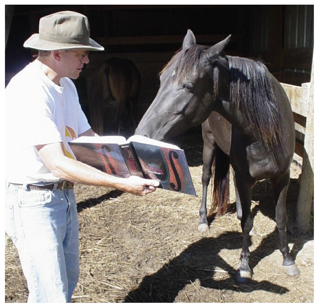 A horse learning calculus